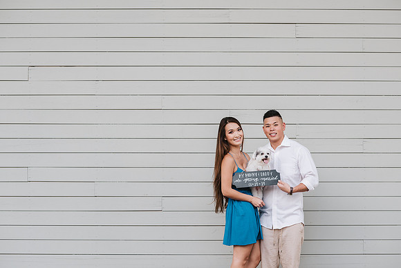 10197 - Anh + Francis Houston Engagement 2018