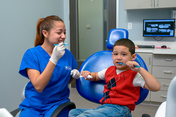 10207 - ZTW Altus Dental AD 2015