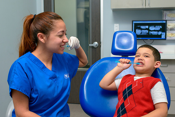 10255 - ZTW Altus Dental AD 2015