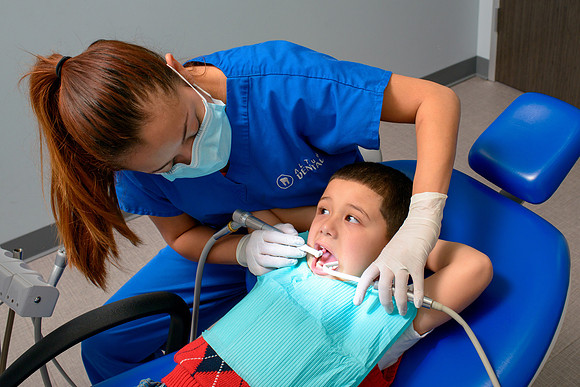 10104 - ZTW Altus Dental AD 2015