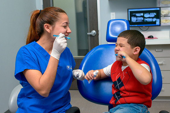 10212 - ZTW Altus Dental AD 2015