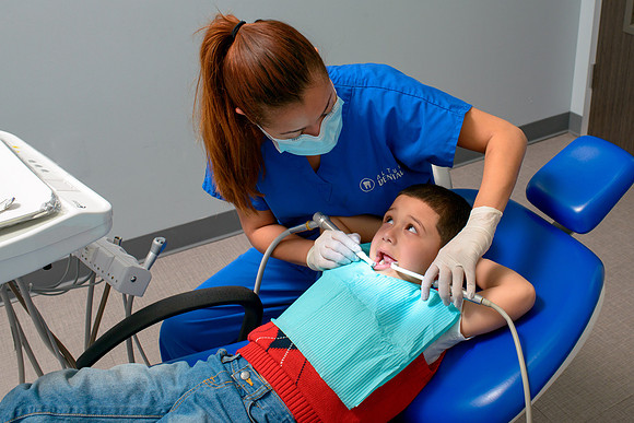 10111 - ZTW Altus Dental AD 2015