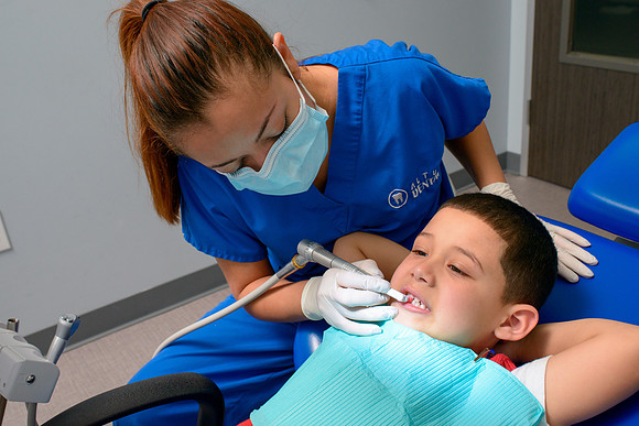 10094 - ZTW Altus Dental AD 2015