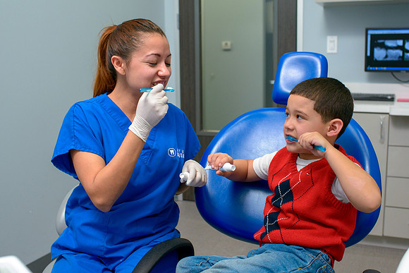 10205 - ZTW Altus Dental AD 2015