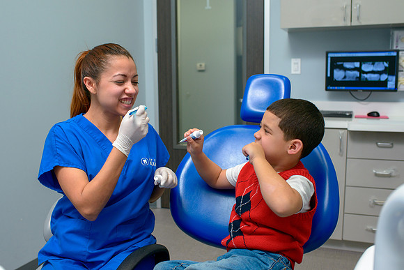 10197 - ZTW Altus Dental AD 2015