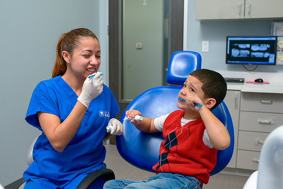 10203 - ZTW Altus Dental AD 2015