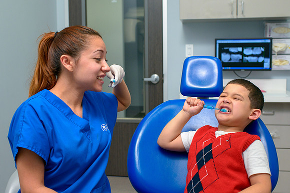 10244 - ZTW Altus Dental AD 2015