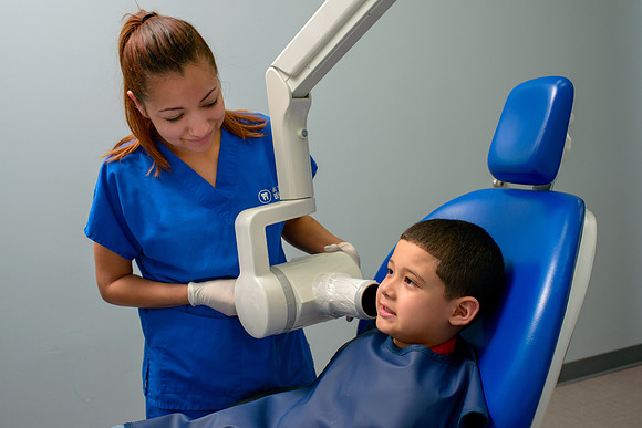 10074 - ZTW Altus Dental AD 2015