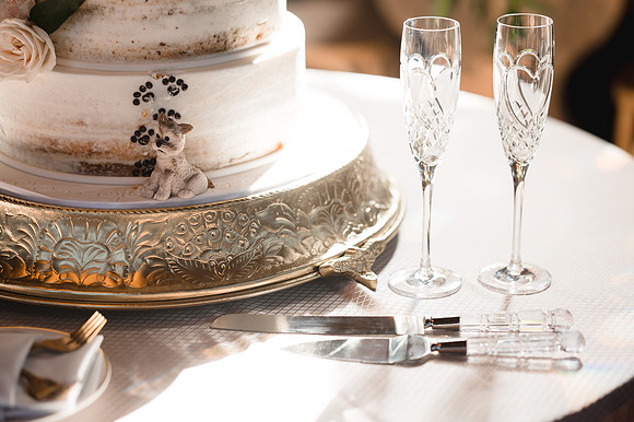 39795 - Sandy  Peter Wedding 2021