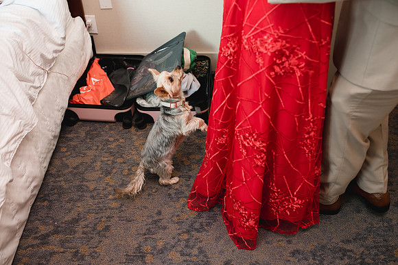 33056 - Sandy  Peter Wedding 2021