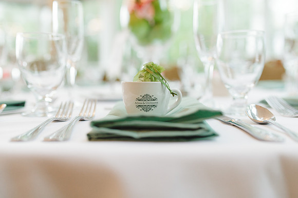 11685 - Stephanie + Adam Wedding
