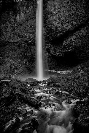 _DSC9916