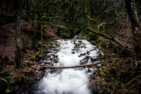 _DSC9890 - FULL