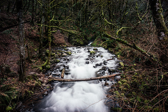 _DSC9890 - FULL