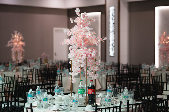 41297 - Melanie + James Wedding 2026