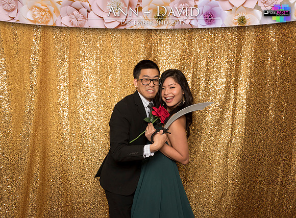 60054 - Ann + David Wedding Photobooth 2017