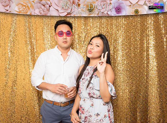 60450 - Ann + David Wedding Photobooth 2017
