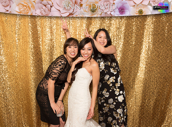 60529 - Ann + David Wedding Photobooth 2017