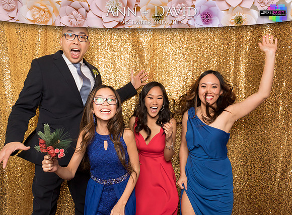 60130 - Ann + David Wedding Photobooth 2017