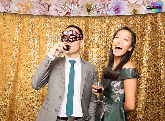 60411 - Ann + David Wedding Photobooth 2017