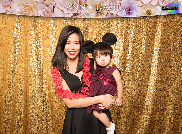 60329 - Ann + David Wedding Photobooth 2017