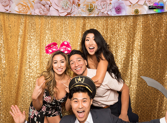 60076 - Ann + David Wedding Photobooth 2017