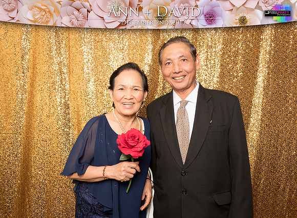 60423 - Ann + David Wedding Photobooth 2017