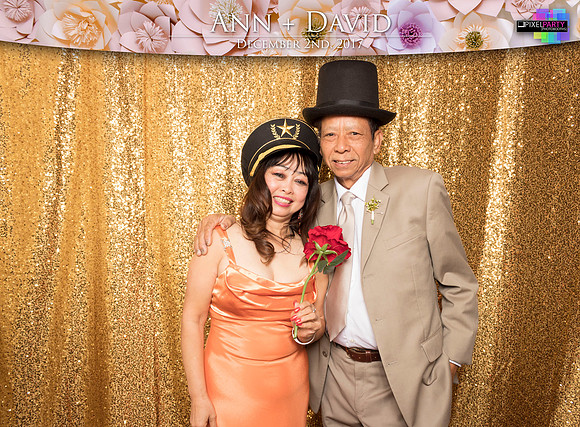 60203 - Ann + David Wedding Photobooth 2017