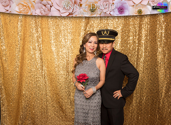 60096 - Ann + David Wedding Photobooth 2017