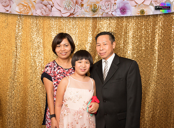 60441 - Ann + David Wedding Photobooth 2017