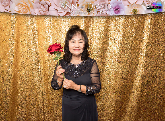 60419 - Ann + David Wedding Photobooth 2017