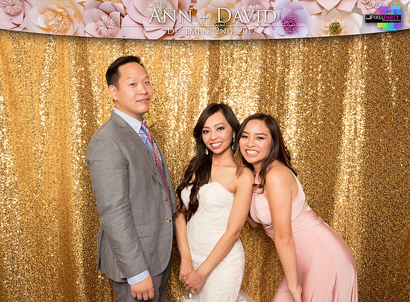 60535 - Ann + David Wedding Photobooth 2017