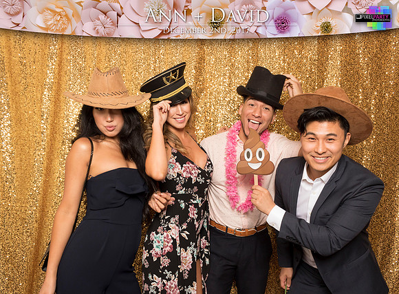 60071 - Ann + David Wedding Photobooth 2017