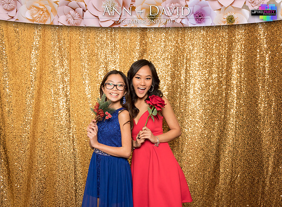 60125 - Ann + David Wedding Photobooth 2017