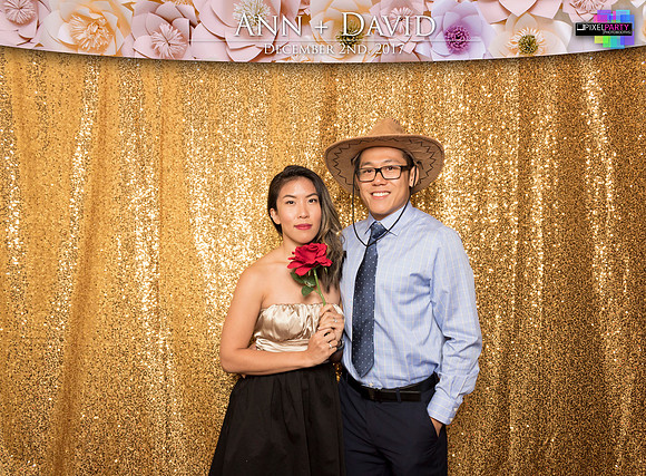 60110 - Ann + David Wedding Photobooth 2017
