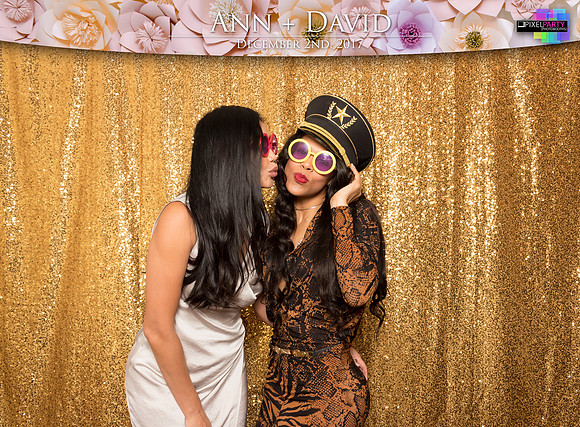 60168 - Ann + David Wedding Photobooth 2017