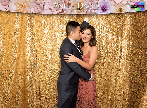 60201 - Ann + David Wedding Photobooth 2017