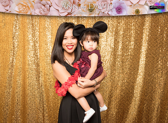 60331 - Ann + David Wedding Photobooth 2017