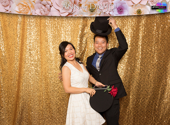60085 - Ann + David Wedding Photobooth 2017
