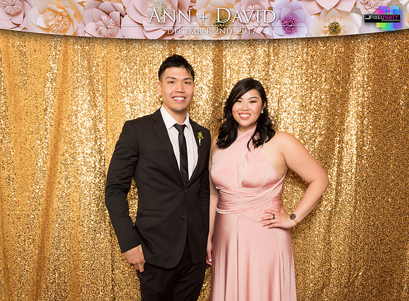 60173 - Ann + David Wedding Photobooth 2017