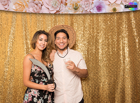 60463 - Ann + David Wedding Photobooth 2017