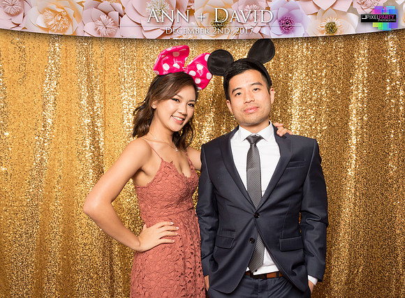 60293 - Ann + David Wedding Photobooth 2017