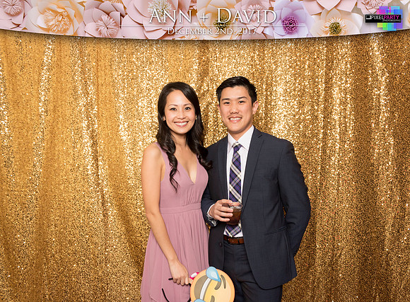 60137 - Ann + David Wedding Photobooth 2017