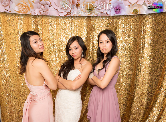 60559 - Ann + David Wedding Photobooth 2017