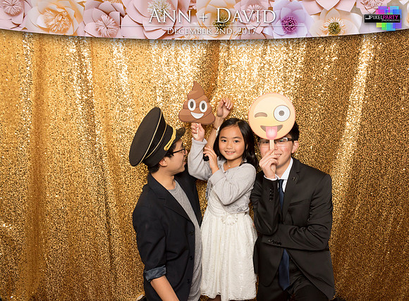 60418 - Ann + David Wedding Photobooth 2017