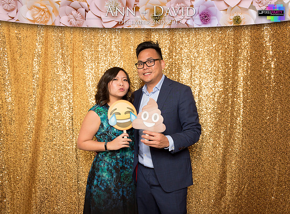 60120 - Ann + David Wedding Photobooth 2017