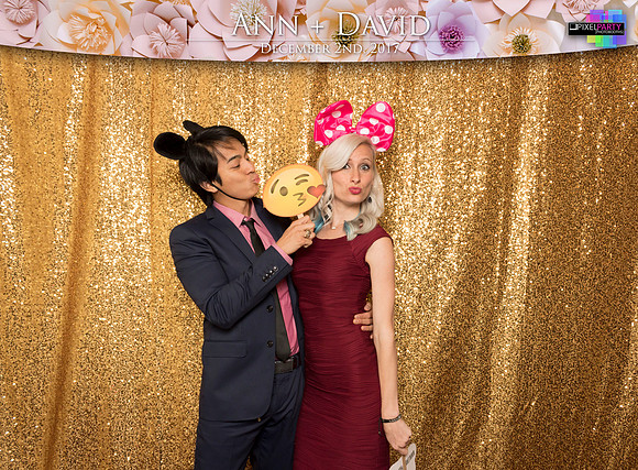 60066 - Ann + David Wedding Photobooth 2017
