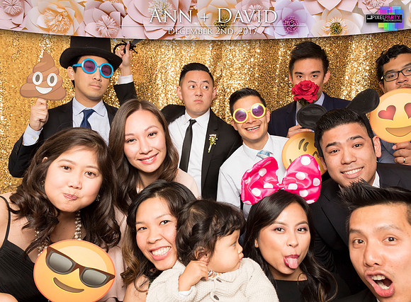 60193 - Ann + David Wedding Photobooth 2017