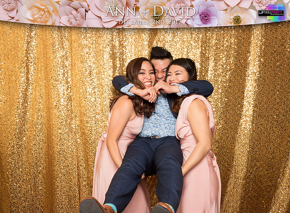 60211 - Ann + David Wedding Photobooth 2017