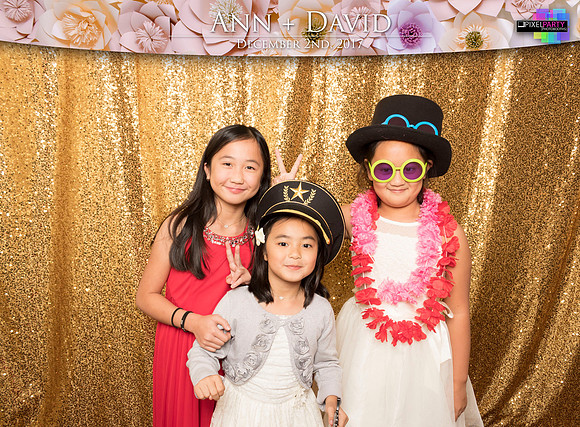 60400 - Ann + David Wedding Photobooth 2017